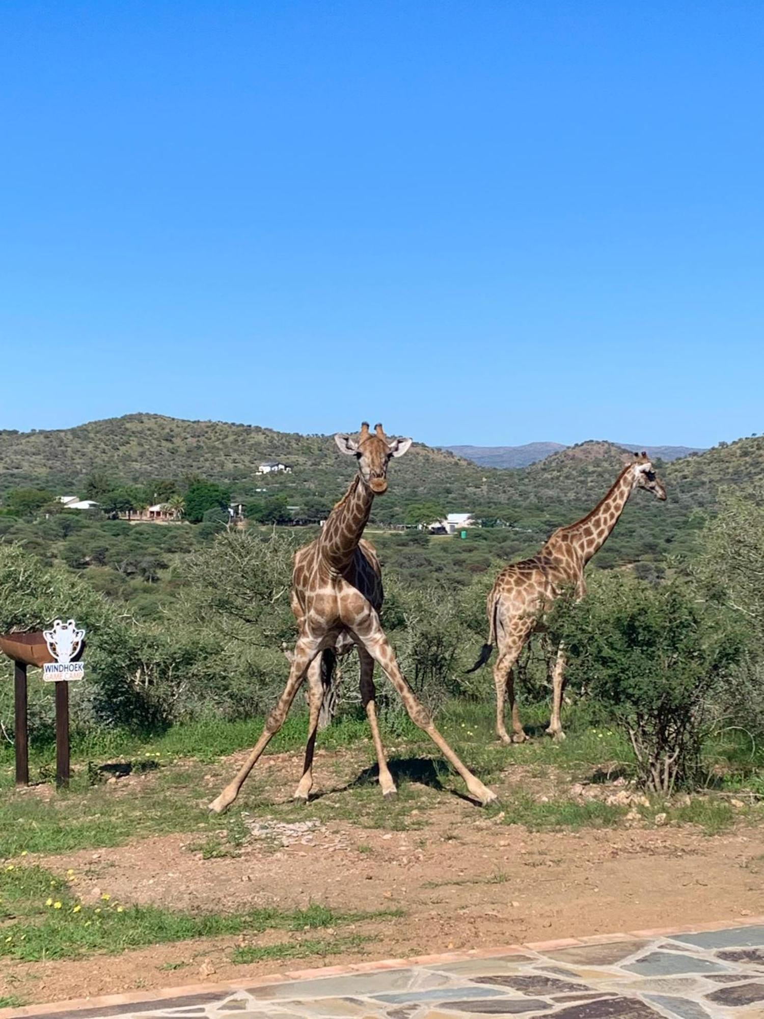 Windhoek Game Camp Lafrenz Township 외부 사진