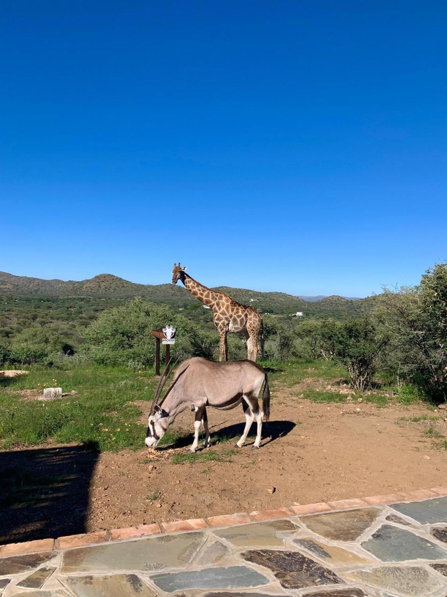 Windhoek Game Camp Lafrenz Township 외부 사진